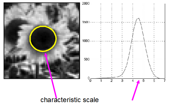 Characteristic Scale